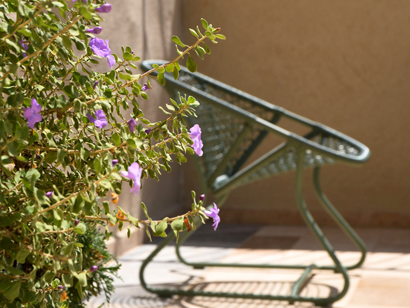 עיצוב מרפסת פנטהאוס עם פרחים סגולים