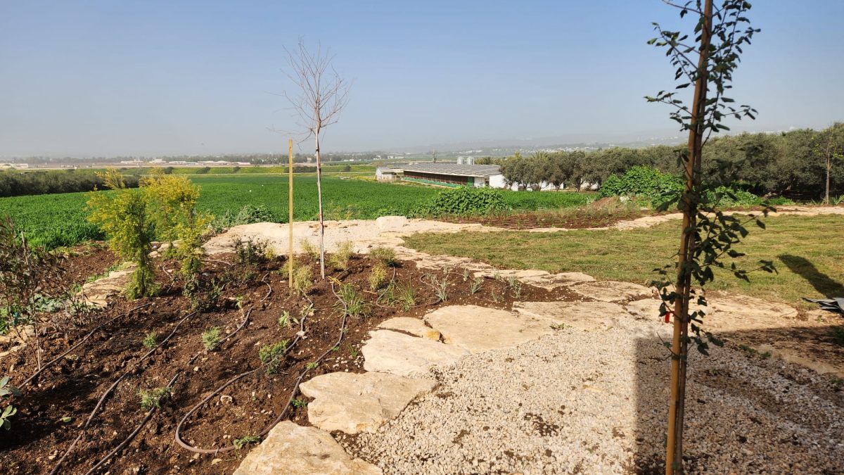 פרויקט תכנון גינה בכפר ברוך